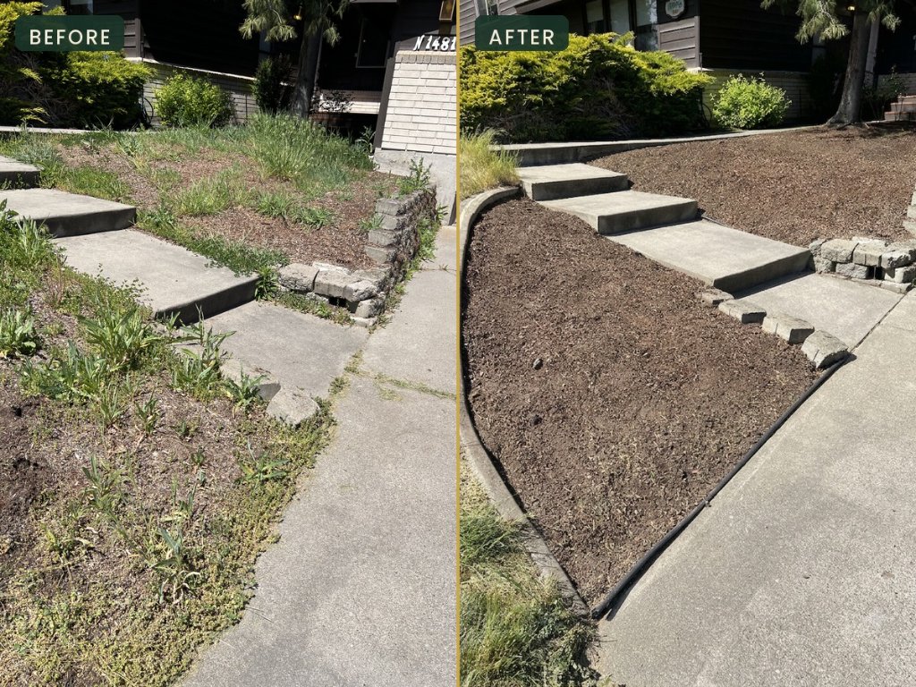 Planting Bed Weeding Before and After