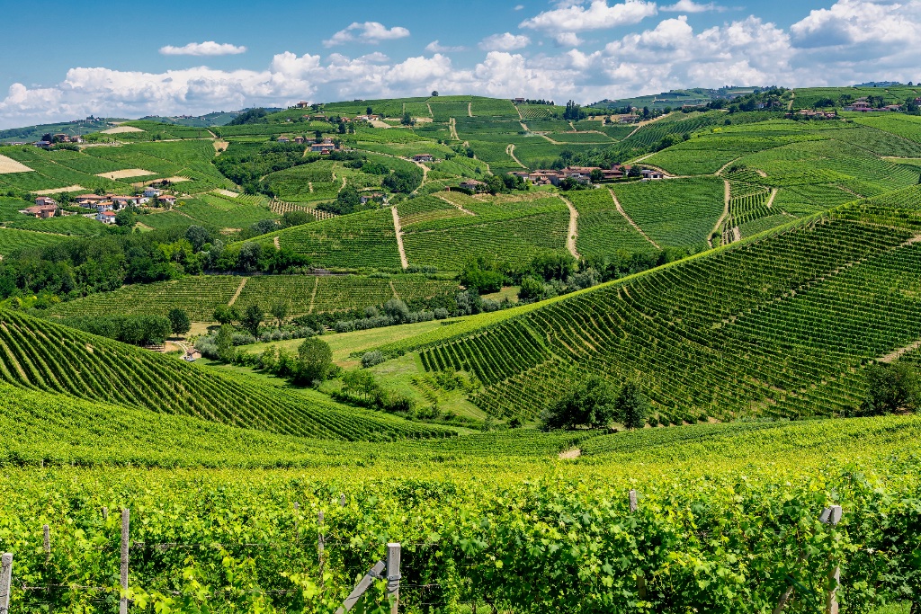 Langhe