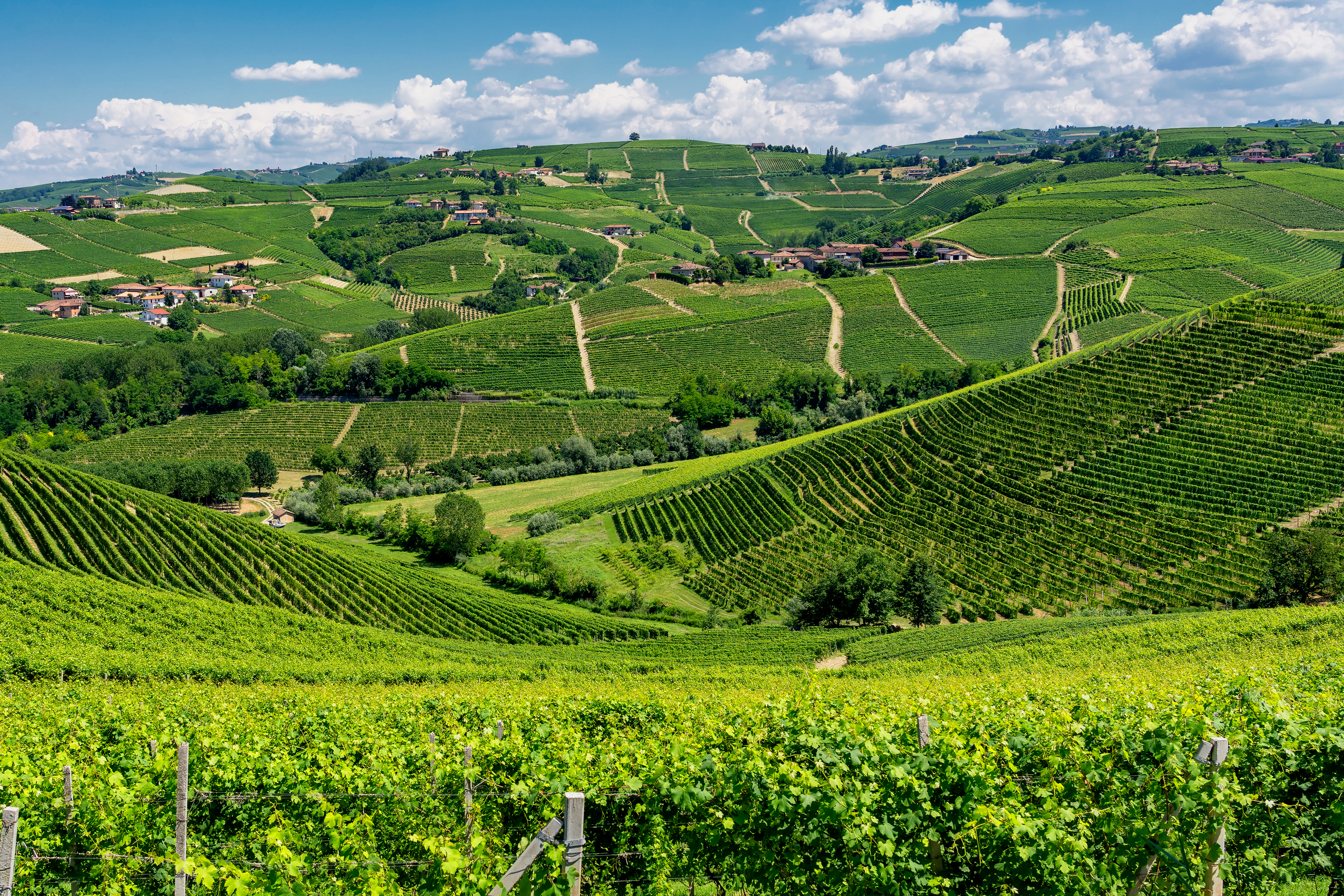 A Day in the Langhe: Barolo Village, Wine Tasting & Rooftop Lunch
