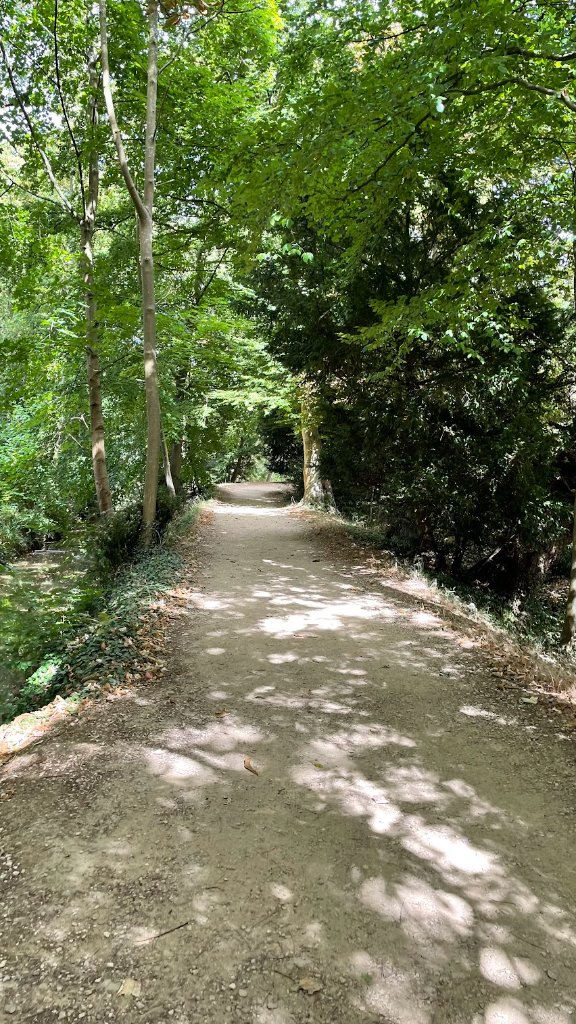 Addison's Walk (C.S. Lewis Conversion Site)