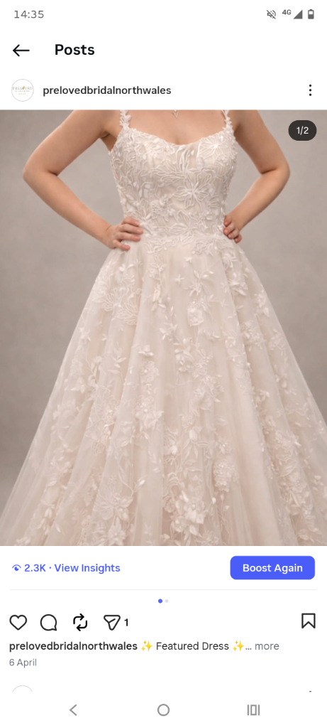 Dorothy London Lace Gown