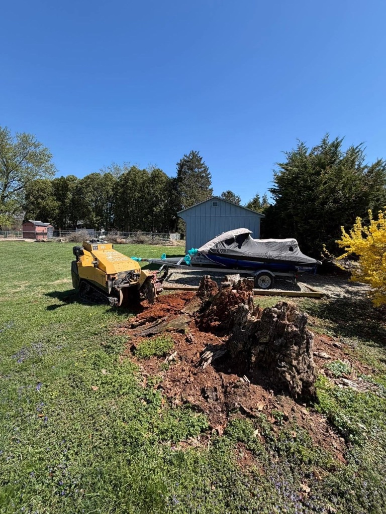 Stump grinding with tracked grinder in Fallston MD