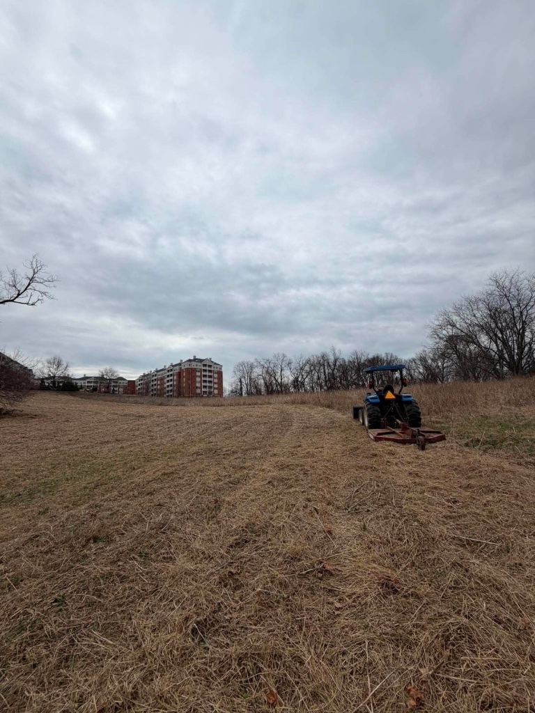 Brush hogging overgrown field with tractor in Harford County MD