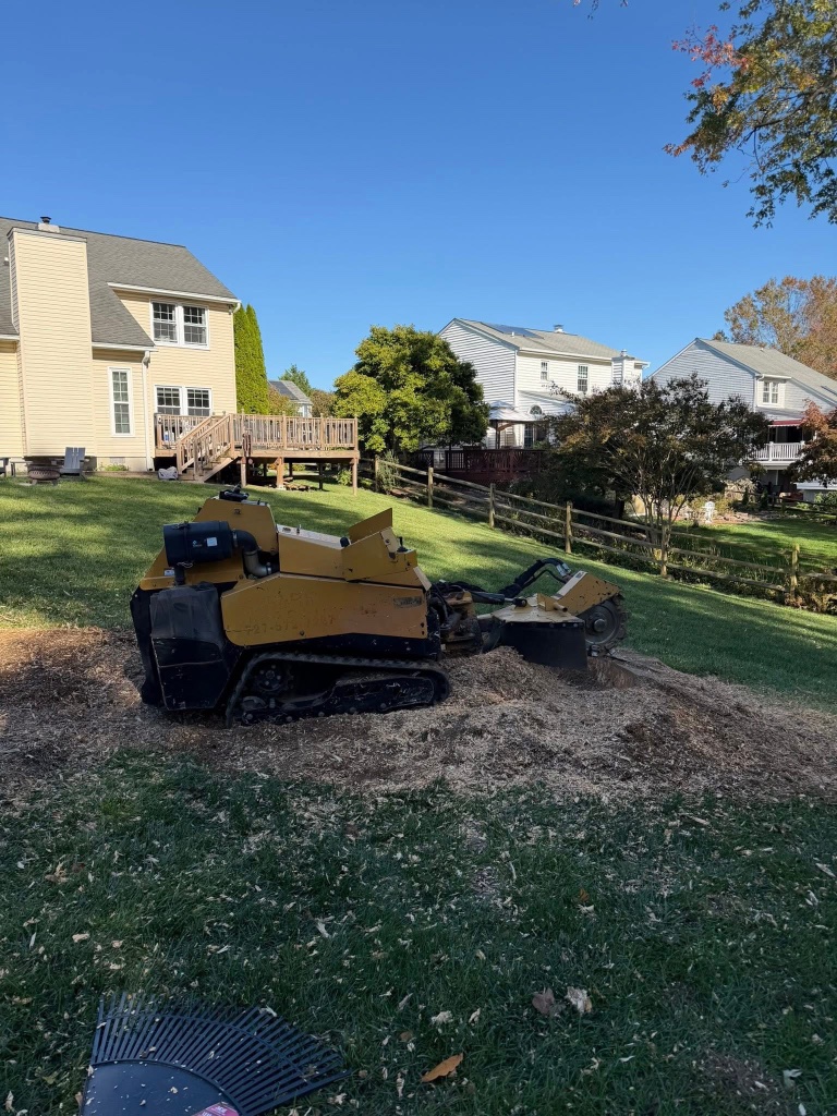 Tree cleanup and removal Harford County MD