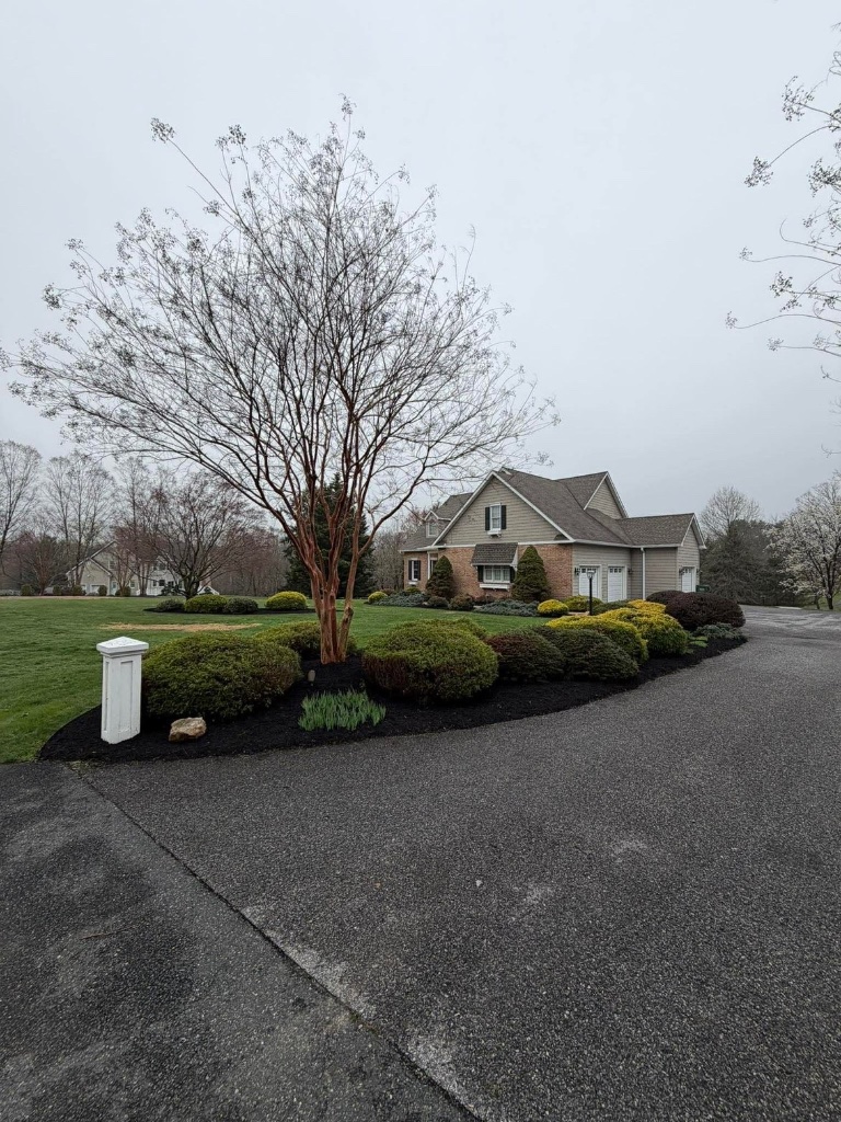 Beautiful landscaped front yard with mulch beds in Harford County