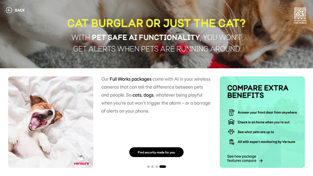 Cat burglar or just the cat?