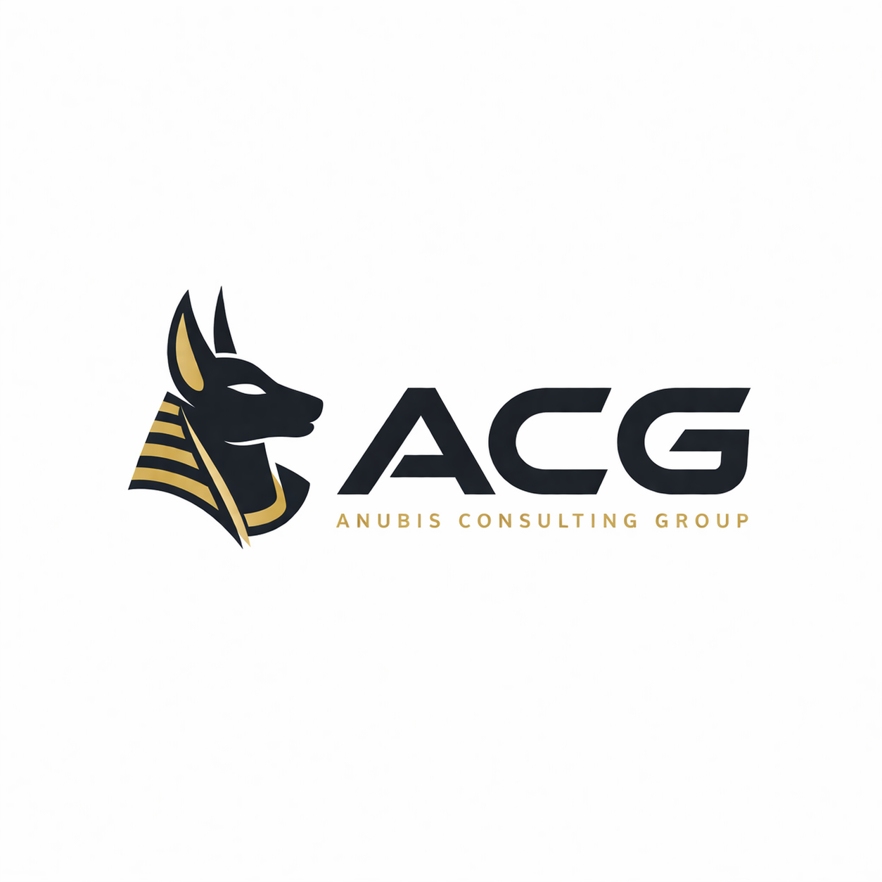 Anubis Consulting Group