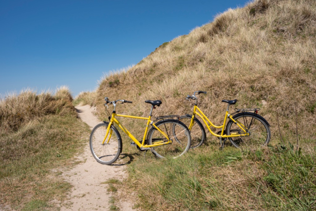 Cykelture