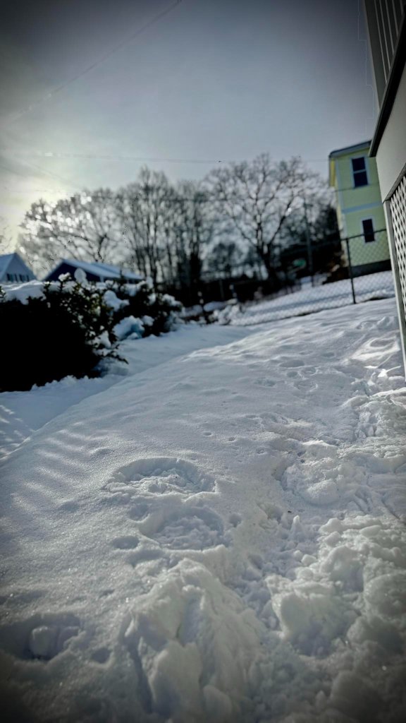 Snow-covered yard with dramatic winter sky