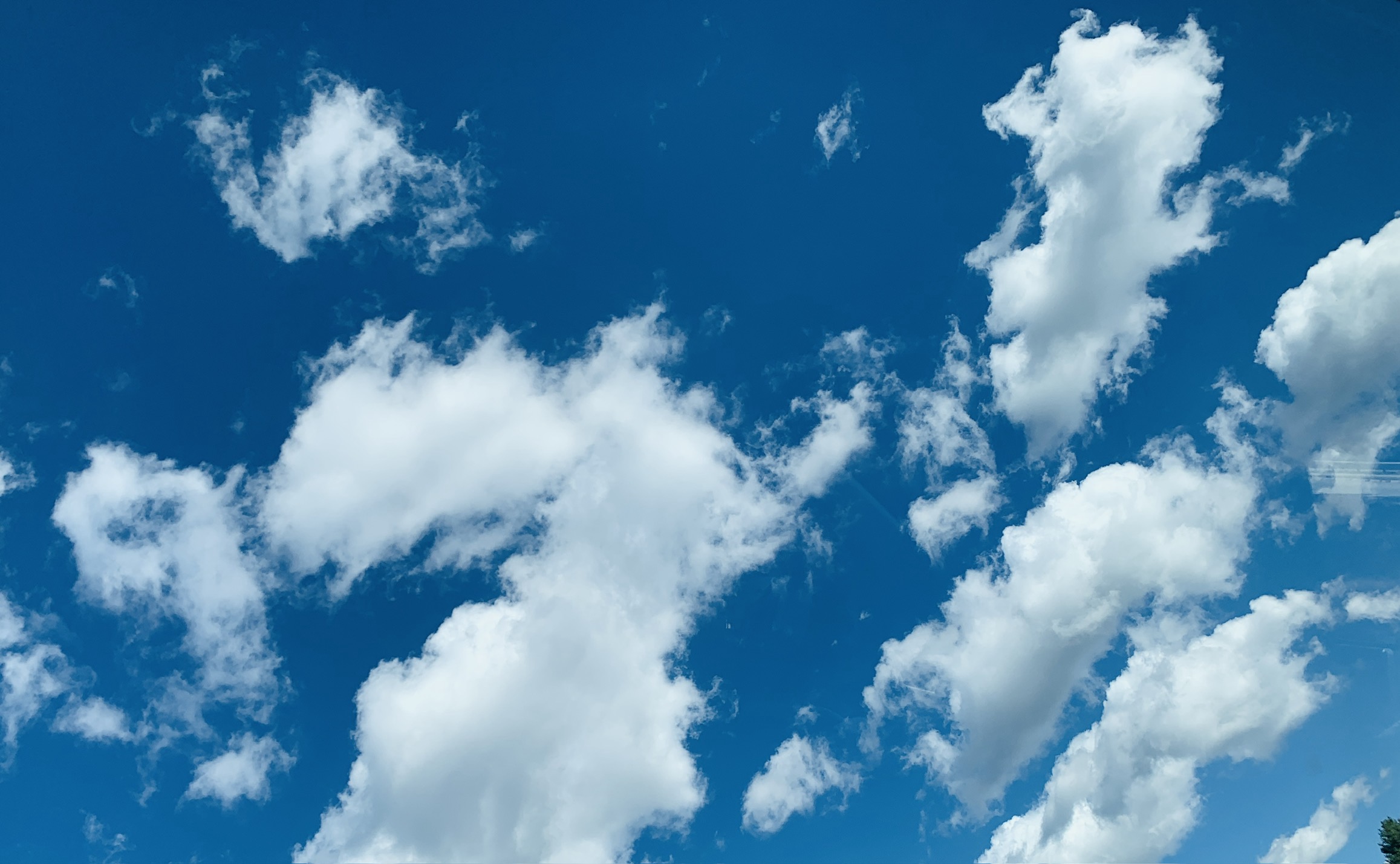Blue sky filled with scattered white cumulus clouds