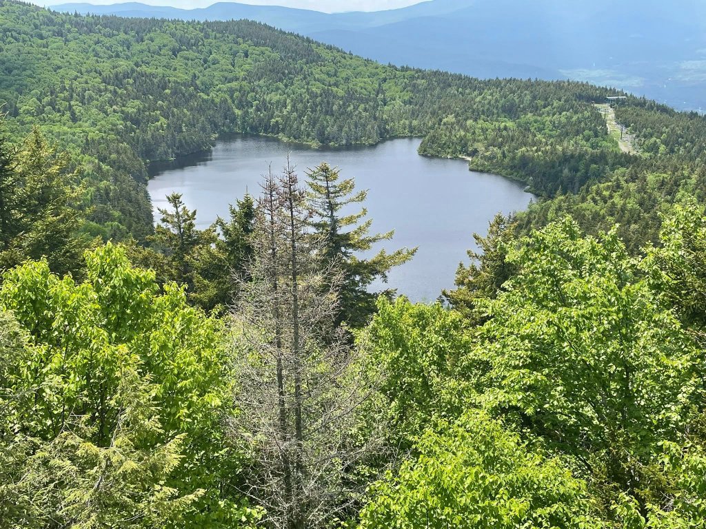 Hidden mountain lake from above through forest