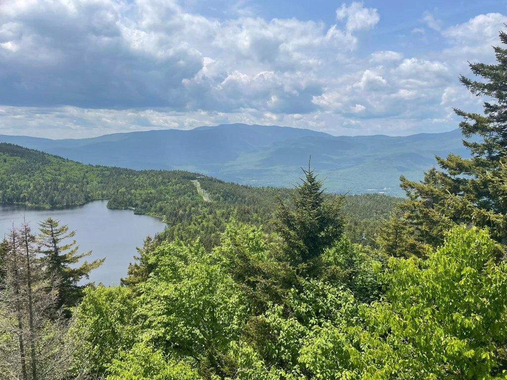 Mountain lake vista through pine trees