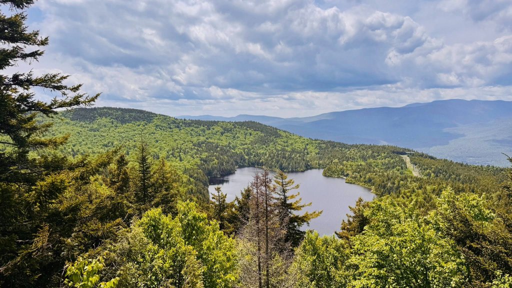 Aerial view of lake surrounded by lush forest and mountains