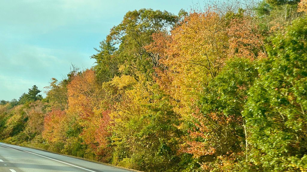 Vibrant autumn foliage along highway