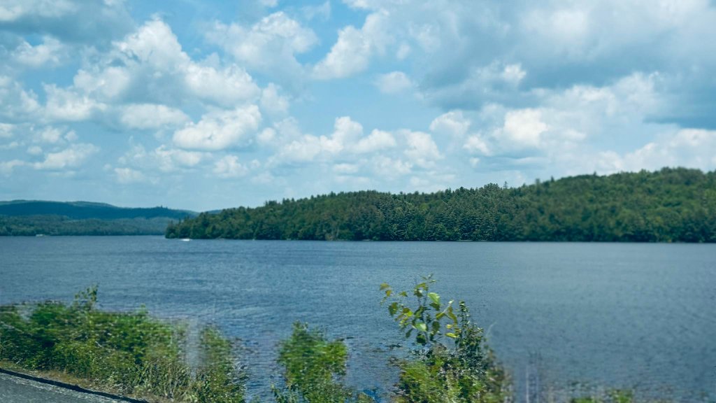 Lake shoreline with lush forest and blue sky