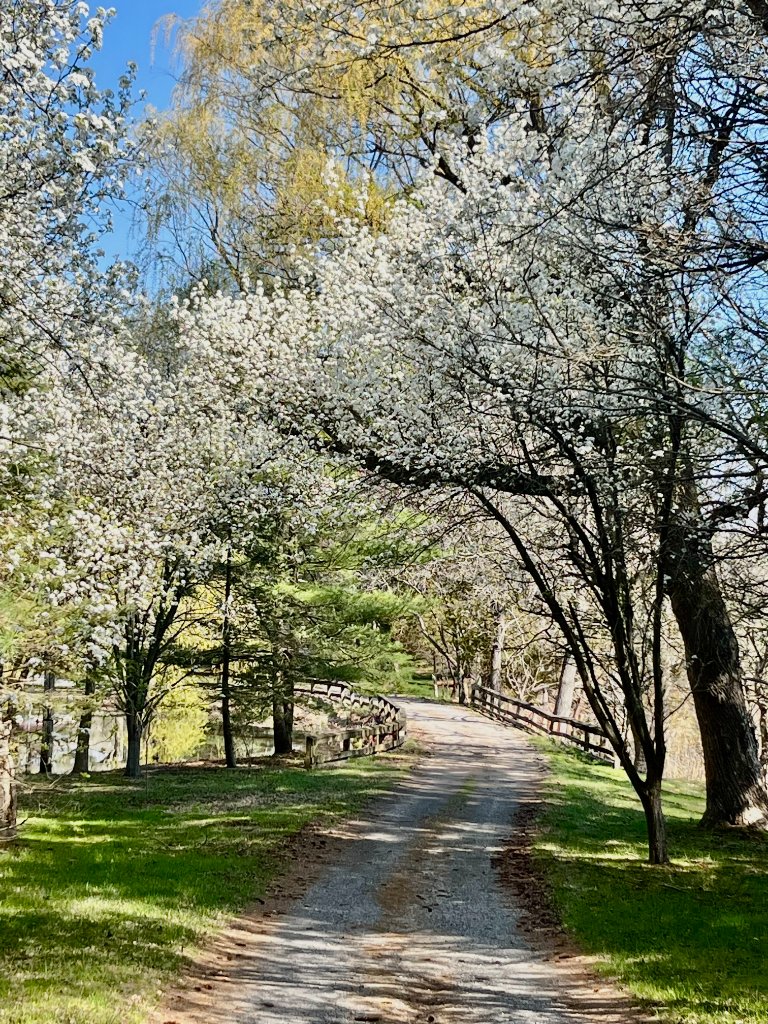 Entrance to Beyer Blossom Estate u-pick lavender farm in Wall Township, Monmouth County NJ