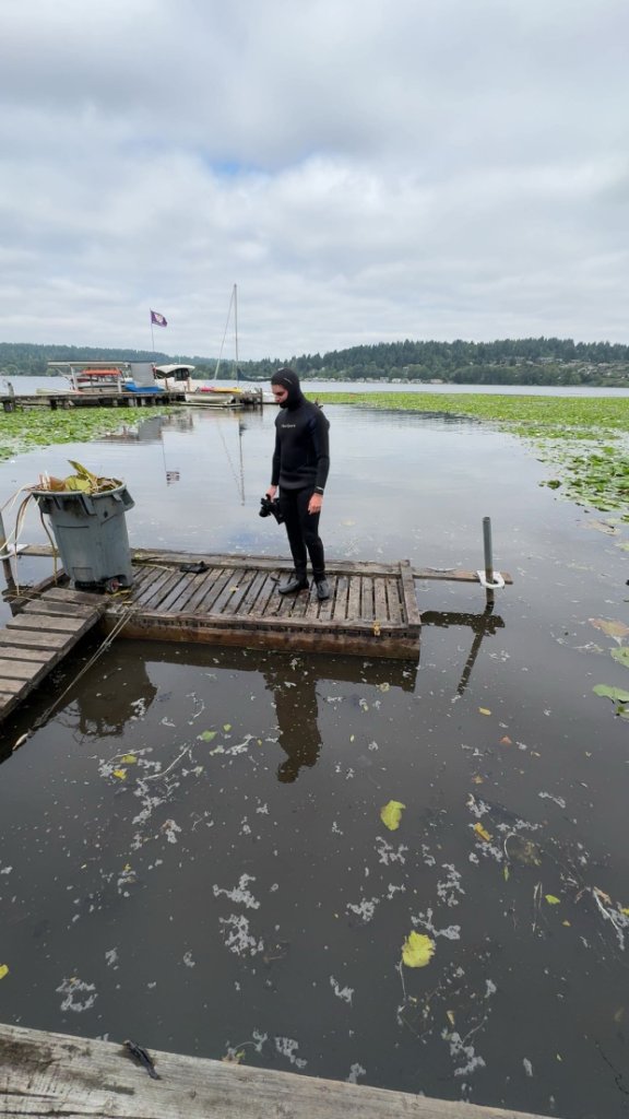 Aquatic Weed Removal