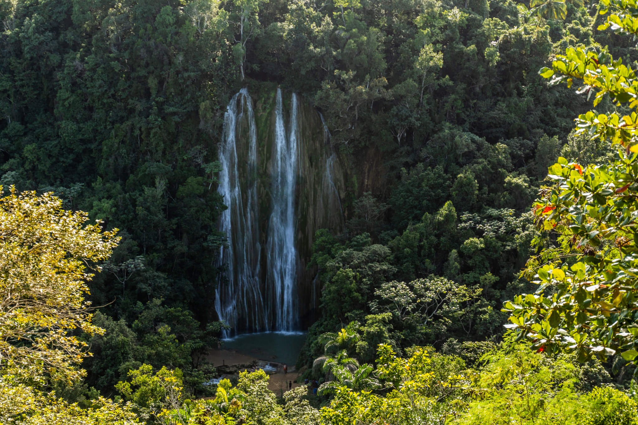 Der Wasserfall El Limón: Ein Waldweg auf der Samaná-Halbinsel