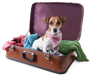 Country Time Pet Retreat logo