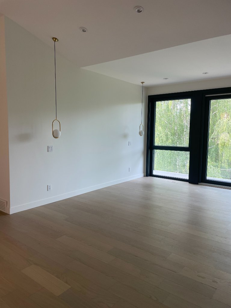 Residential Pendant & Pot Light Install