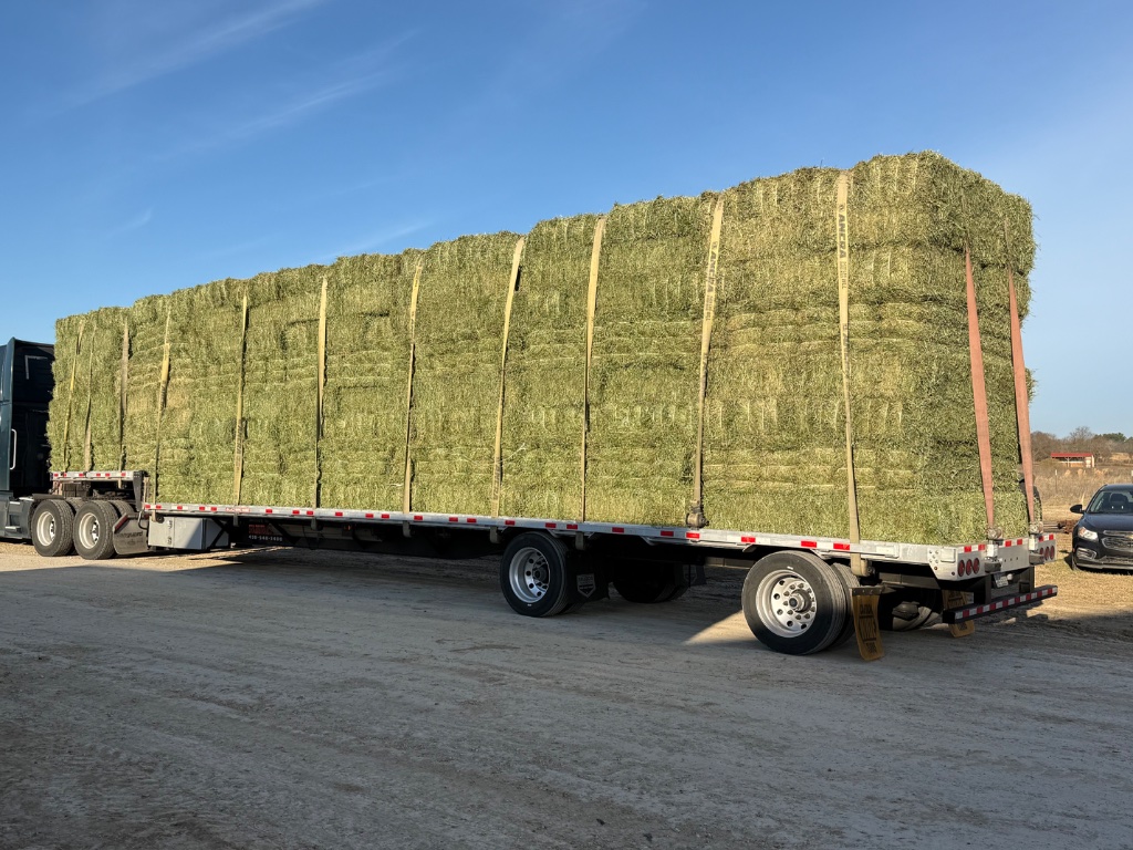 Loaded hay trailer at Long Farm & Ranch Supply Canton TX