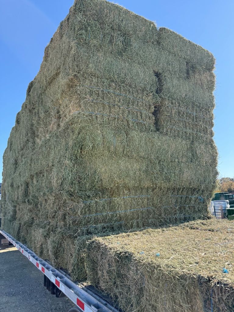 Stacked alfalfa and bermuda hay bales in warehouse