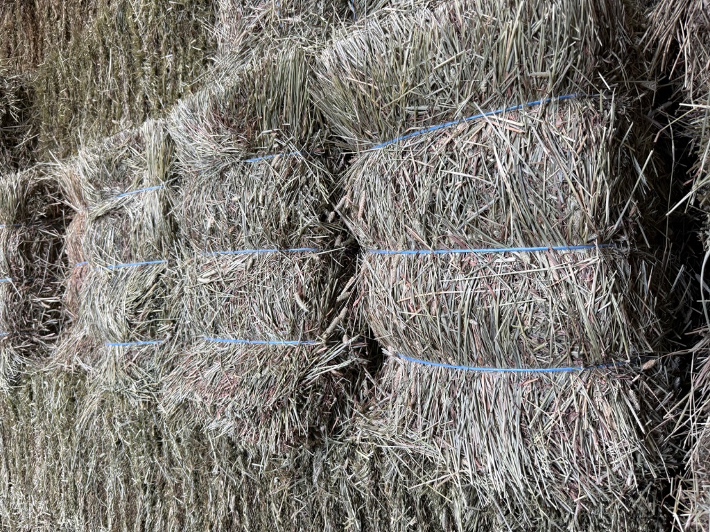 Hay stacked in barn