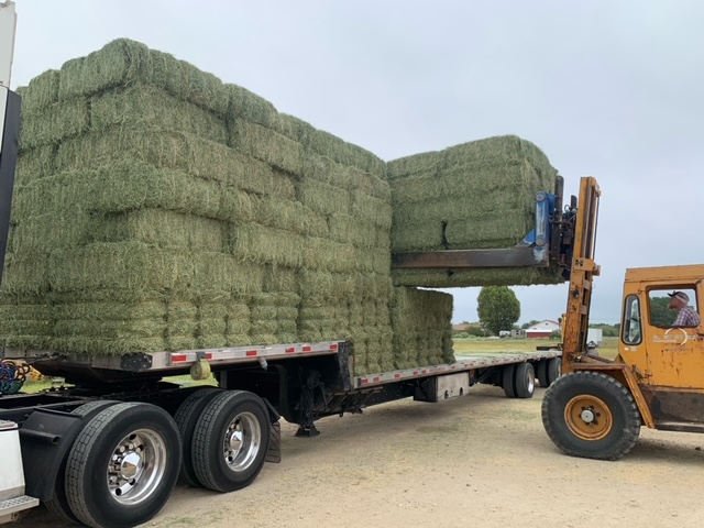 Forklift loading hay bales at Long Farm & Ranch Supply
