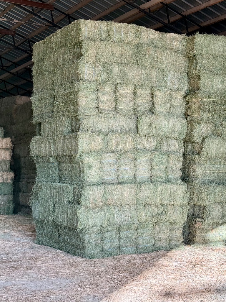 Hay bales stacked in barn
