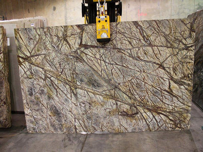 Rainforest Brown Granite Slab