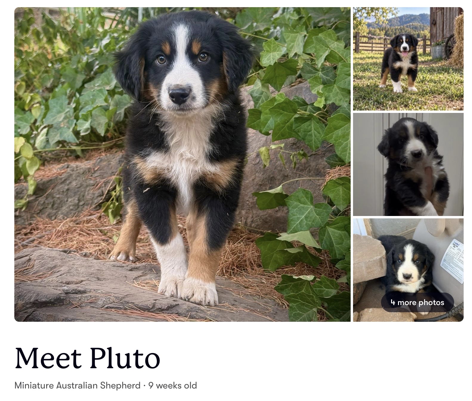 Pluto
