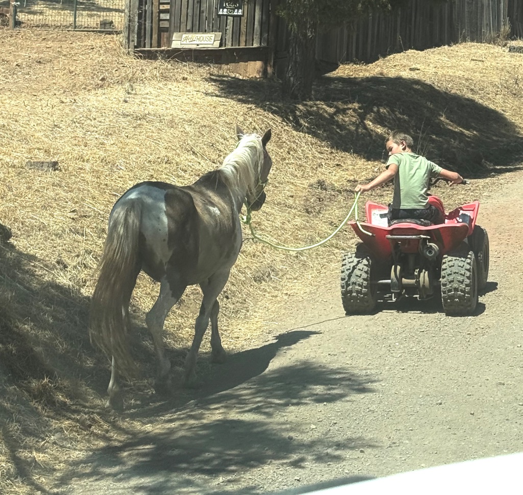 Wild Rose Ranch