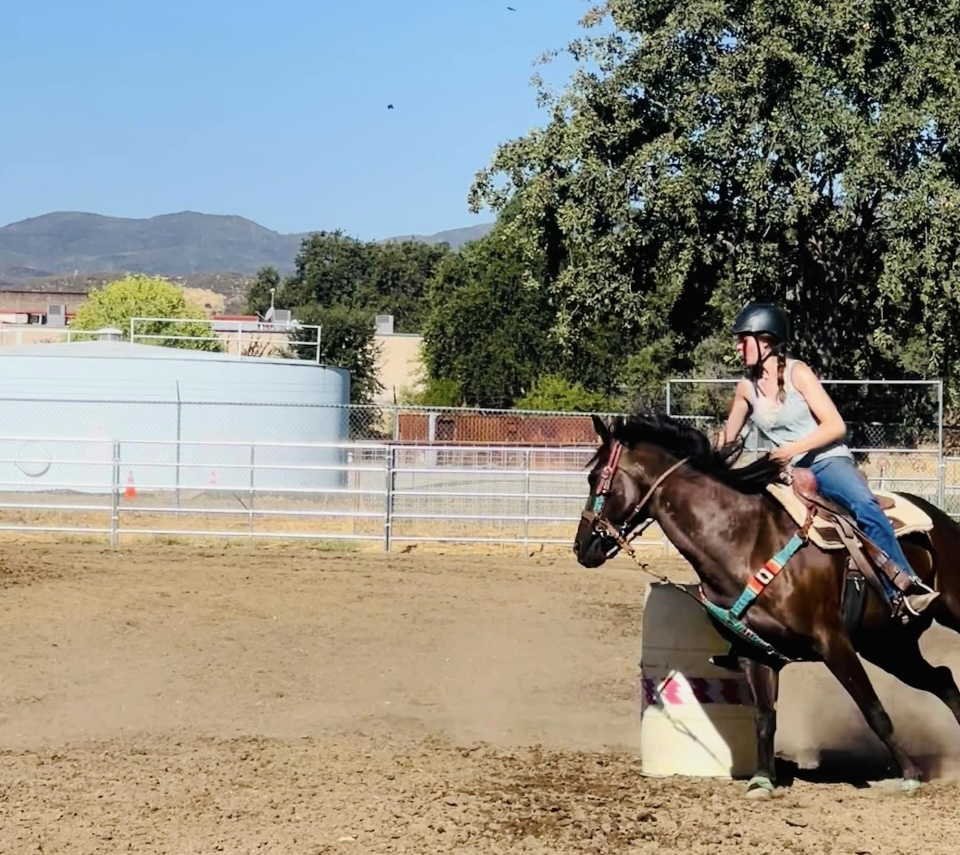 Wild Rose Ranch