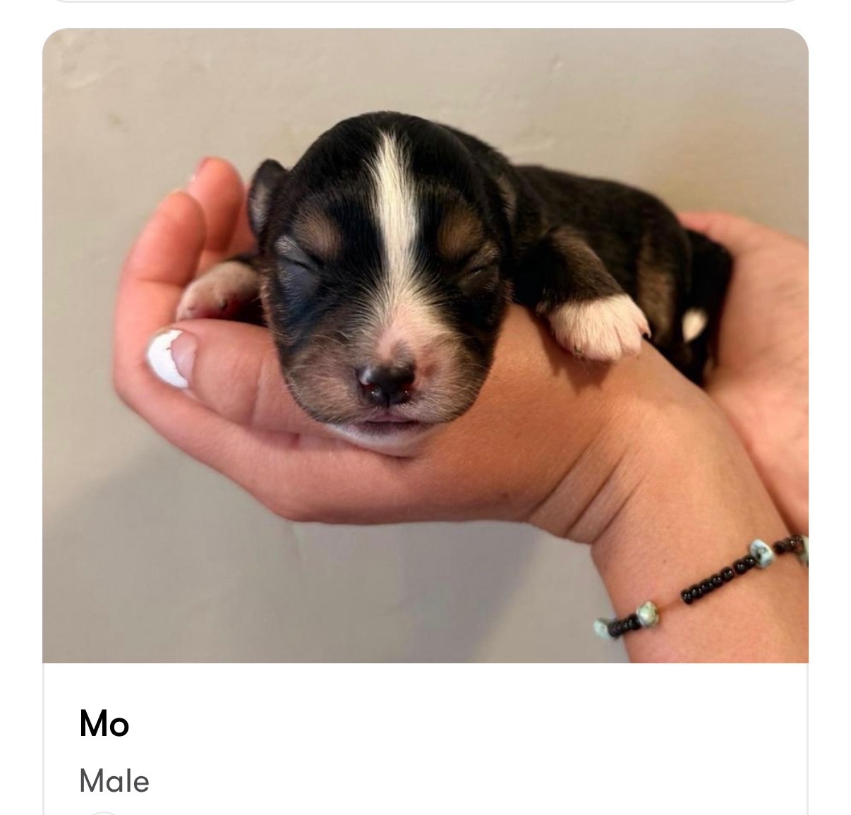 Mo