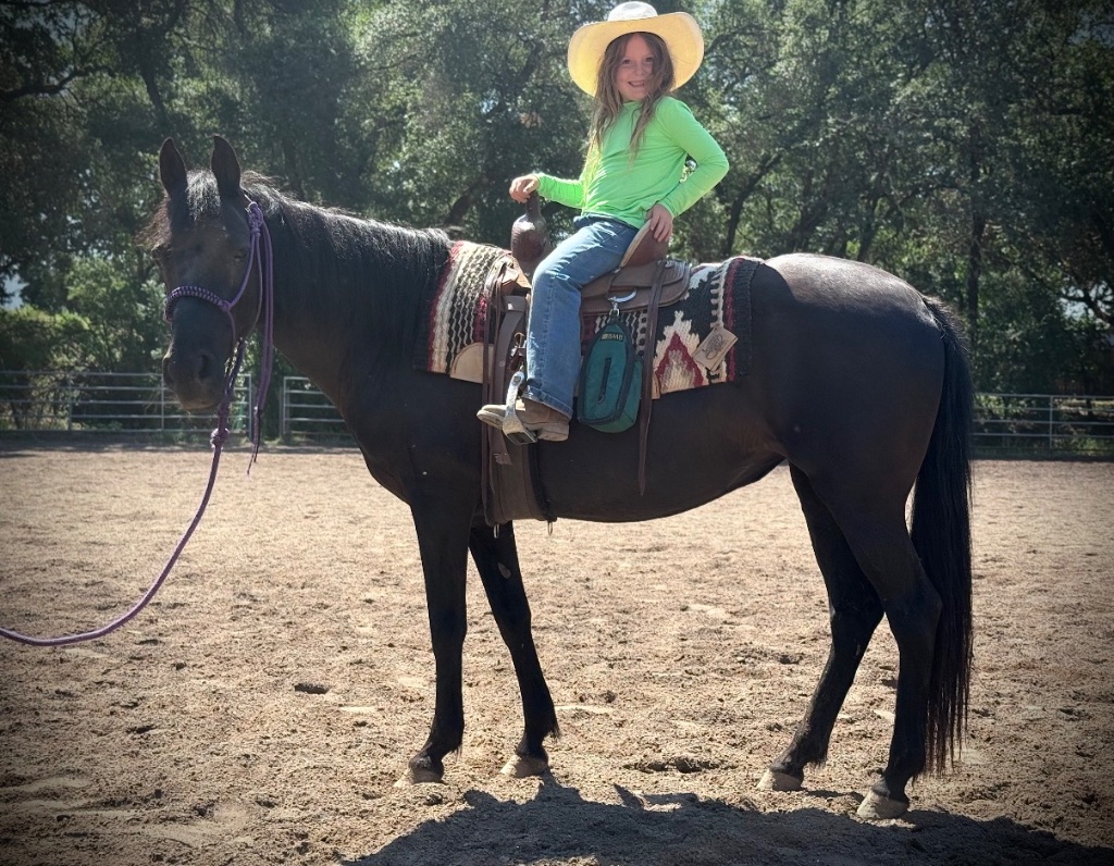 Wild Rose Ranch