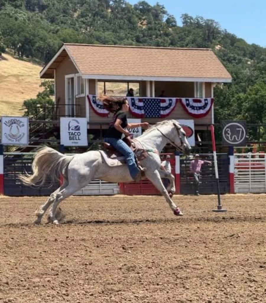 Wild Rose Ranch