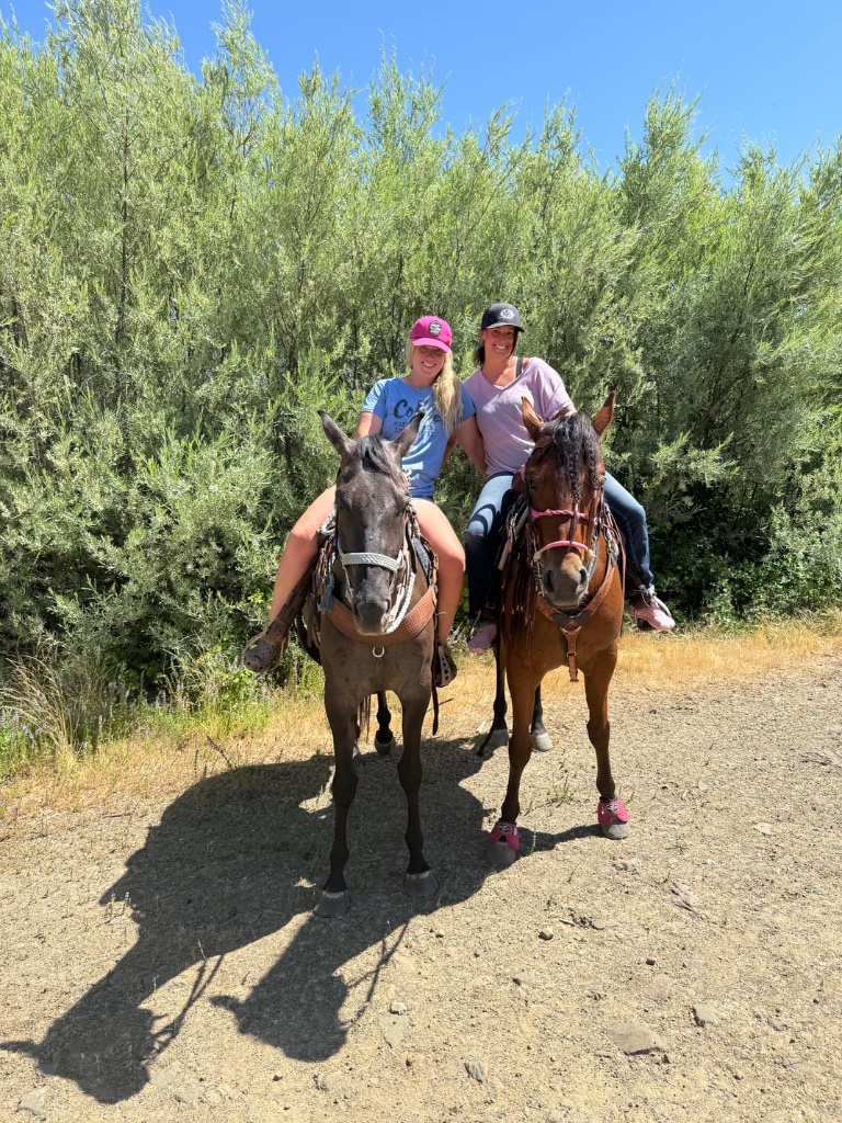 Wild Rose Ranch