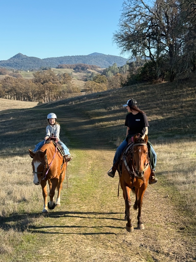 Wild Rose Ranch