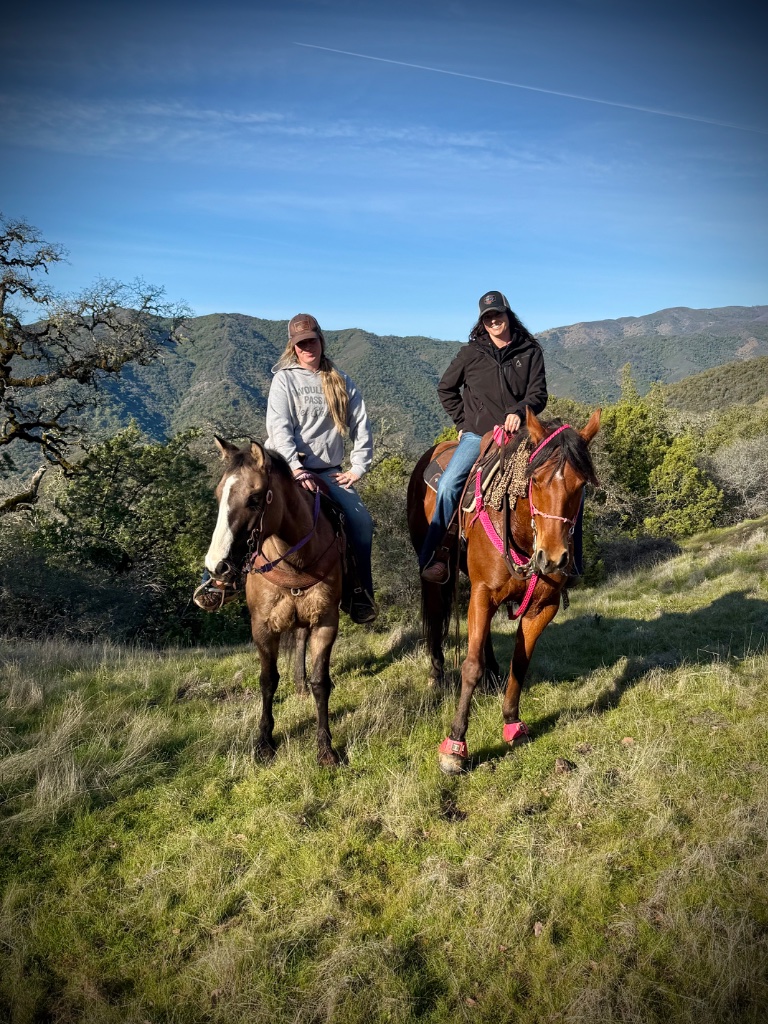 Wild Rose Ranch