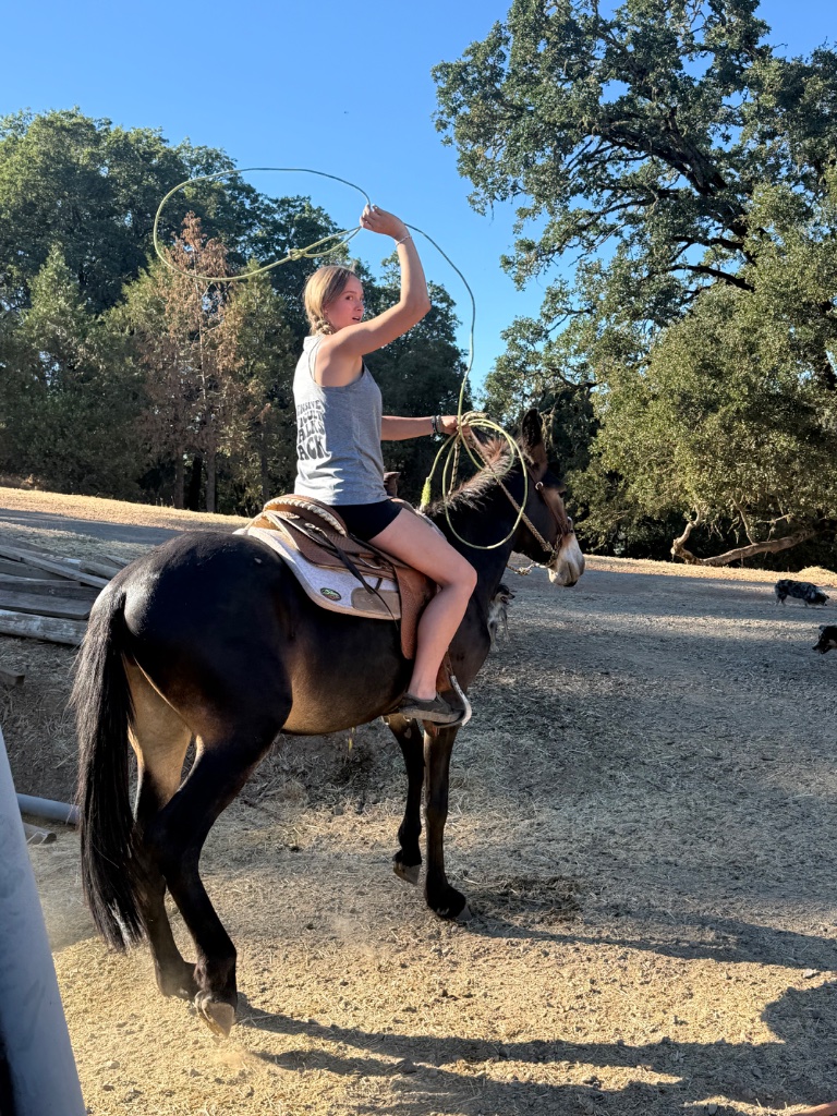 Wild Rose Ranch