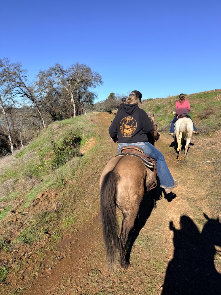 Wild Rose Ranch
