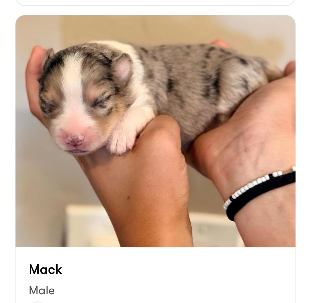 Mack