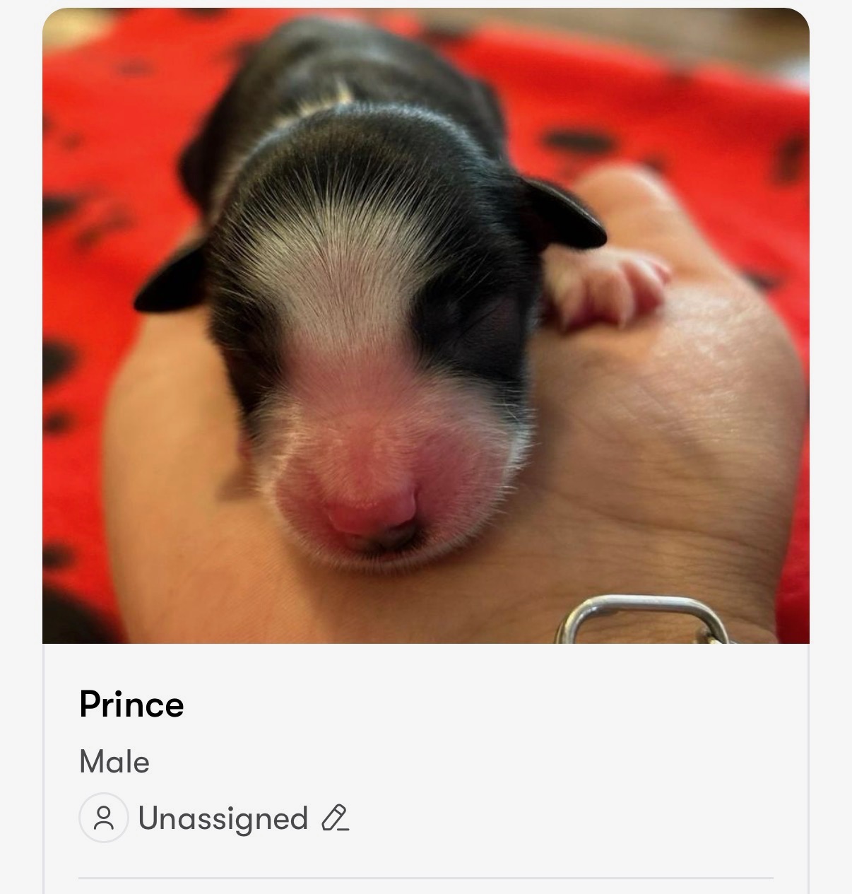 Prince
