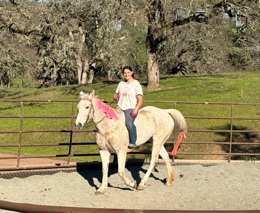 Wild Rose Ranch