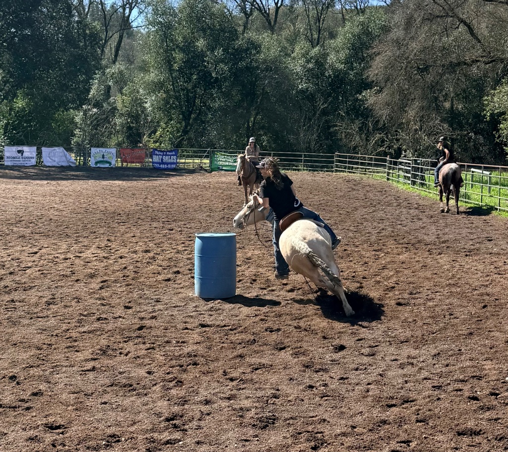 Wild Rose Ranch