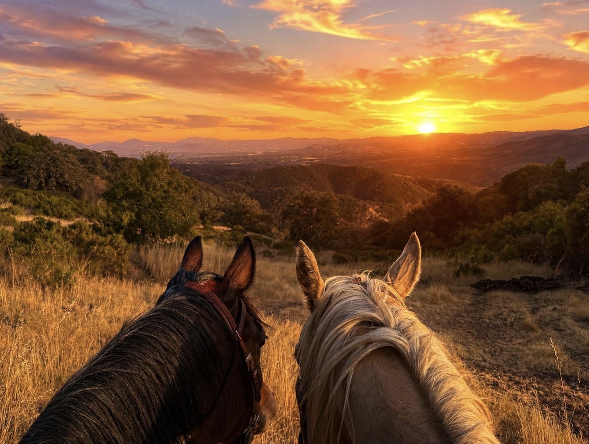Wild Rose Ranch panoramic view at golden hour