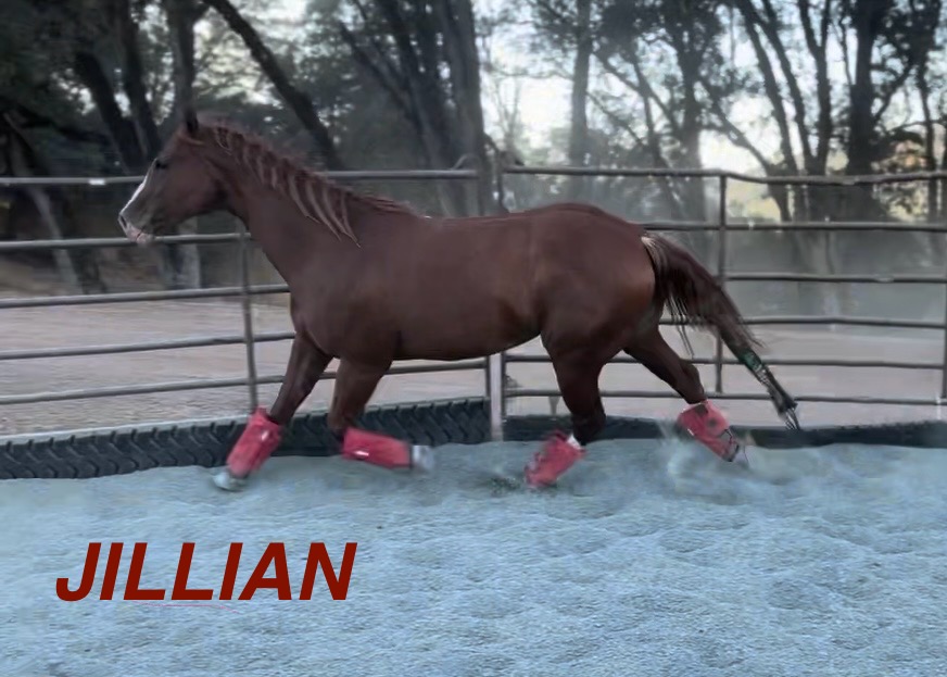 Jillian