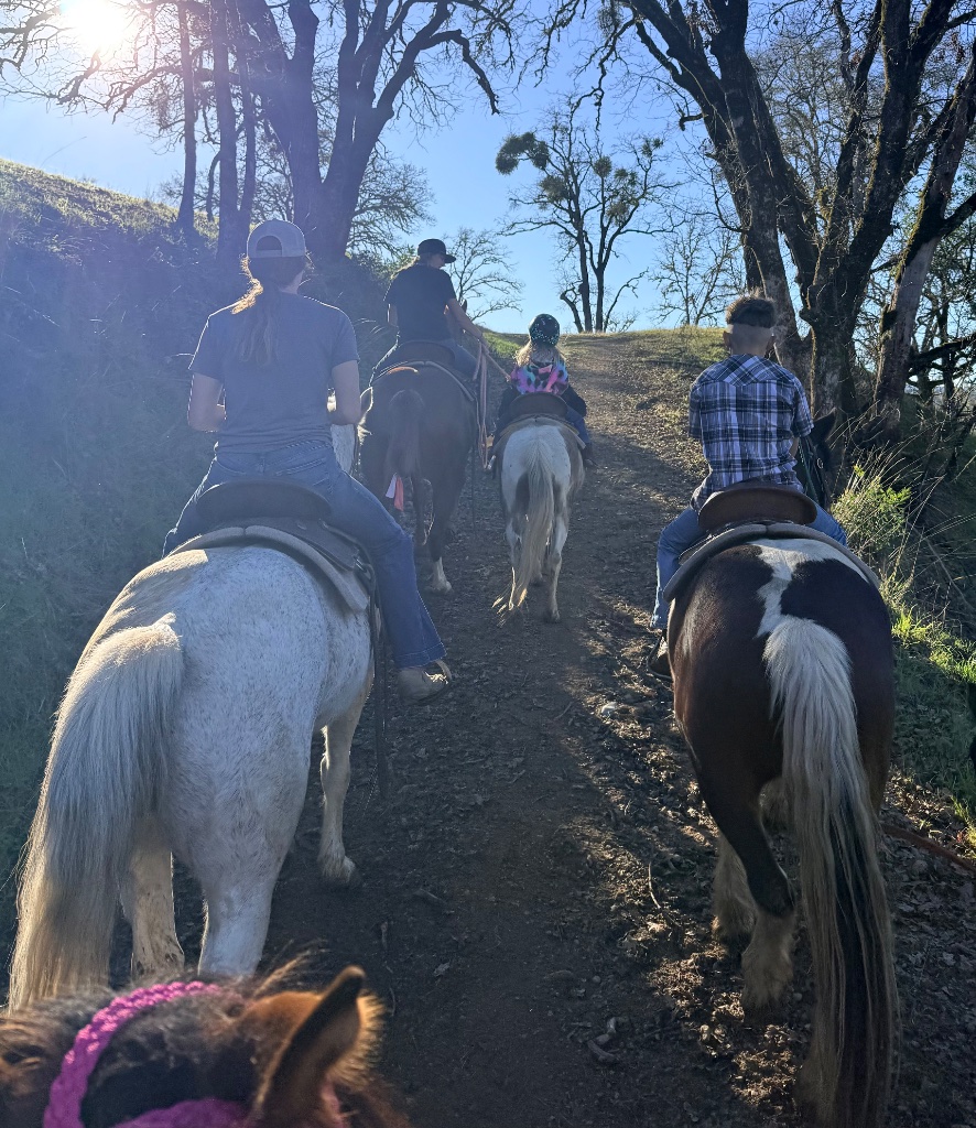 Wild Rose Ranch