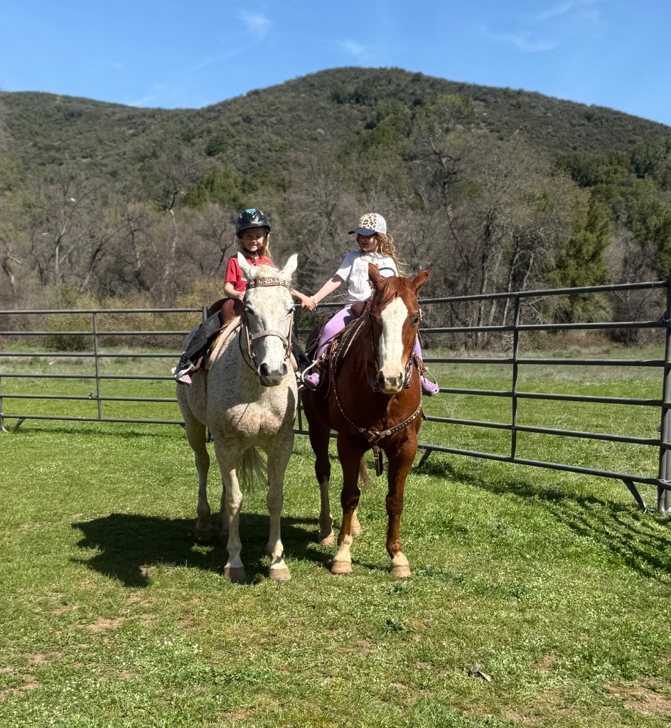 Wild Rose Ranch