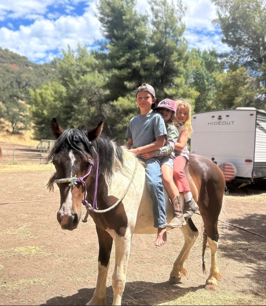 Wild Rose Ranch